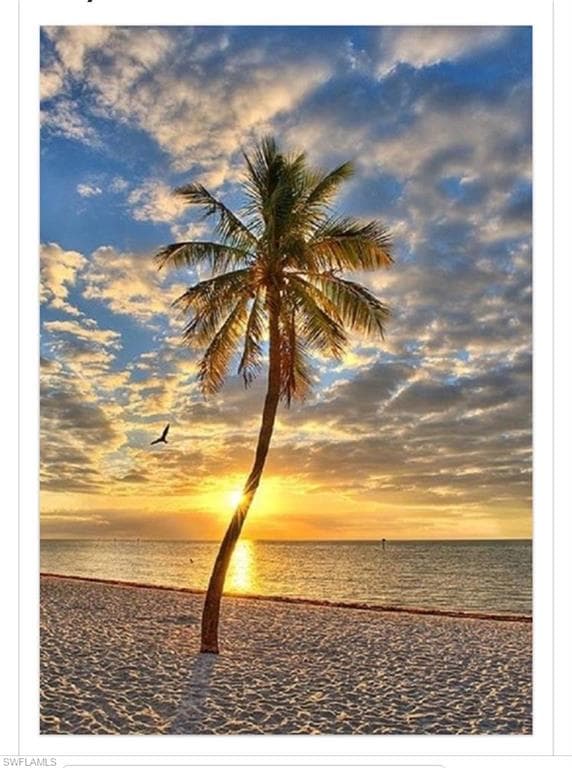 267 Barefoot Beach Blvd X-601, Bonita Springs, FL 34134-43