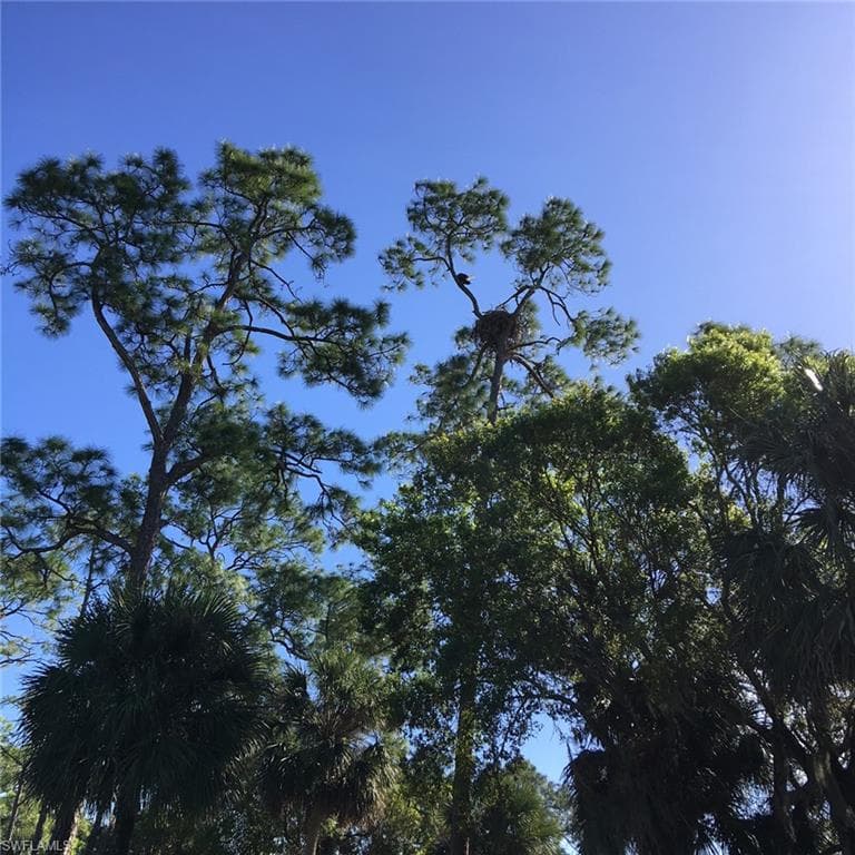 752 Eagle Creek Dr 101, Naples, FL 34113-33