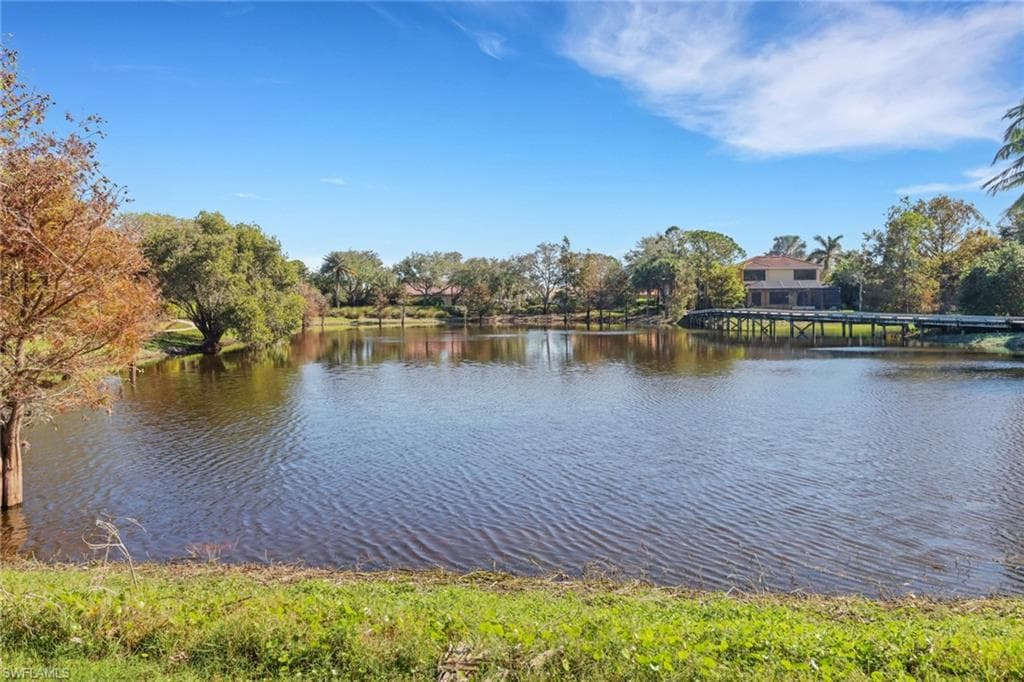 23605 Via Carino Ln, Bonita Springs, FL 34135-34