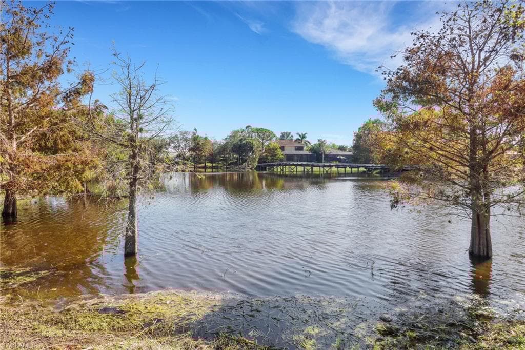 23605 Via Carino Ln, Bonita Springs, FL 34135-36