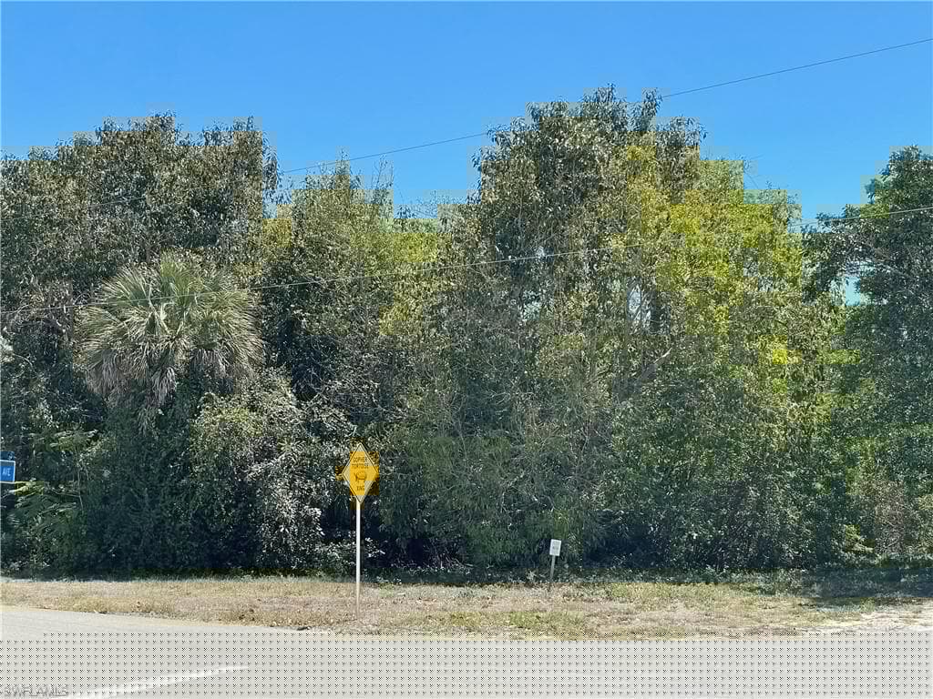 1895 Sheffield Ave, Marco Island, FL 34145-9