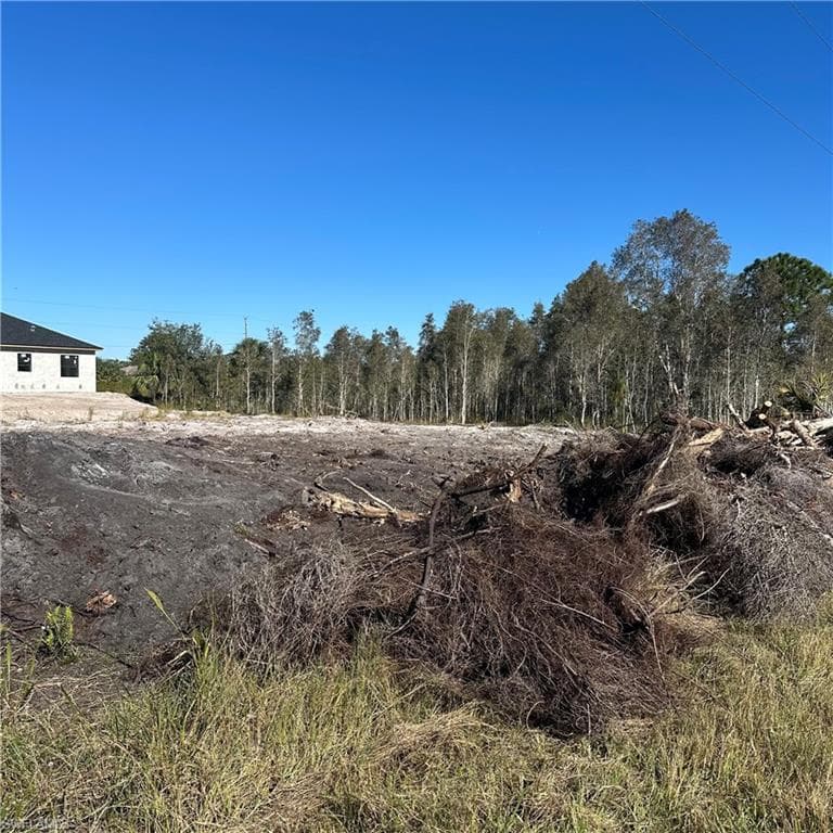 809 Alamo St E, Lehigh Acres, FL 33974-2