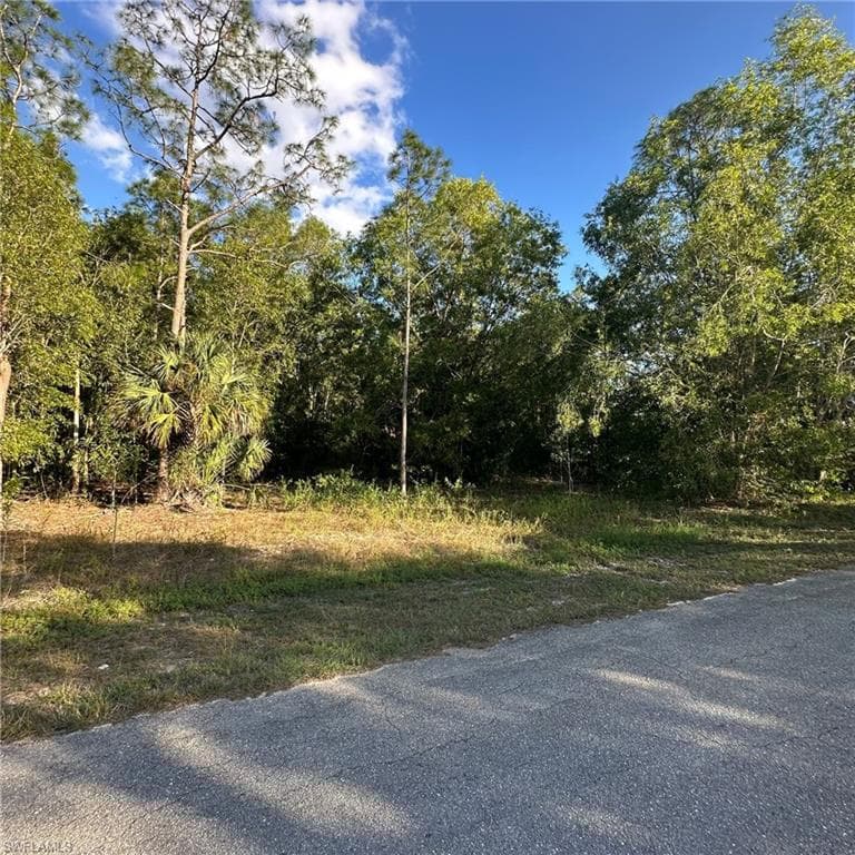 118 Johns Ave, Lehigh Acres, FL 33936-1