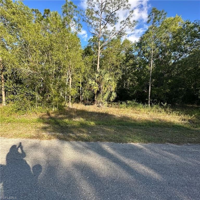 118 Johns Ave, Lehigh Acres, FL 33936-3