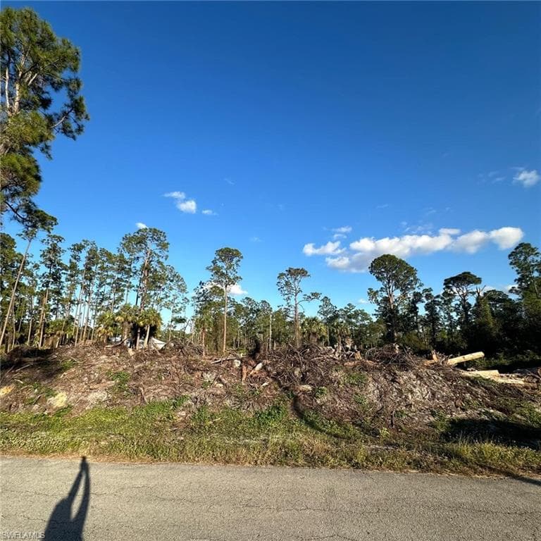 704 Wellington Ave, Lehigh Acres, FL 33972-3