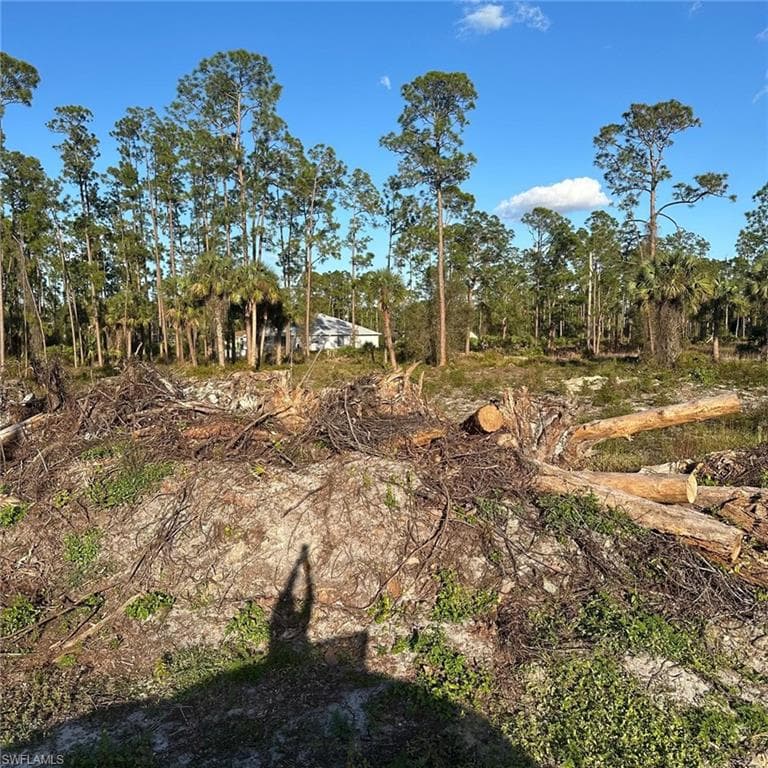 704 Wellington Ave, Lehigh Acres, FL 33972-4