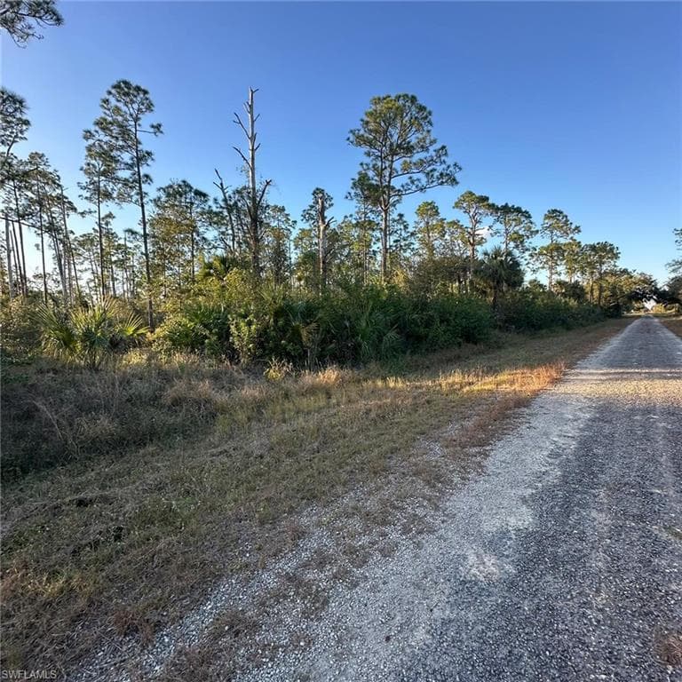 709 Monroe Ave, Lehigh Acres, FL 33972-1