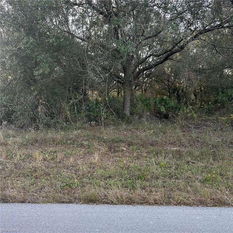 1006 Abbott Ave, Lehigh Acres, FL 33972-1