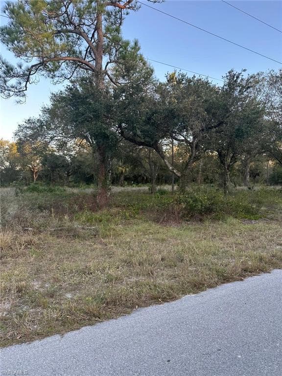 1006 Abbott Ave, Lehigh Acres, FL 33972-3