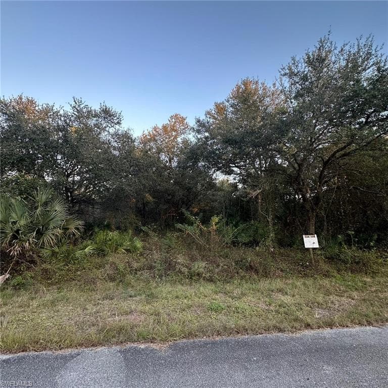 1210 Abbott Ave, Lehigh Acres, FL 33972-1