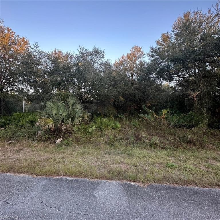 1210 Abbott Ave, Lehigh Acres, FL 33972-3