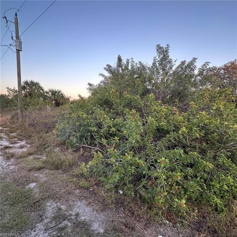 1502 Leroy Ave, Lehigh Acres, FL 33972-1