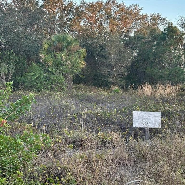 1502 Leroy Ave, Lehigh Acres, FL 33972-2