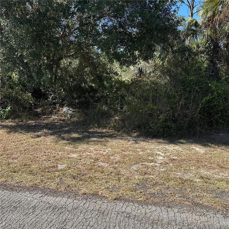 2321 Irving Ave, Alva, FL 33920-4