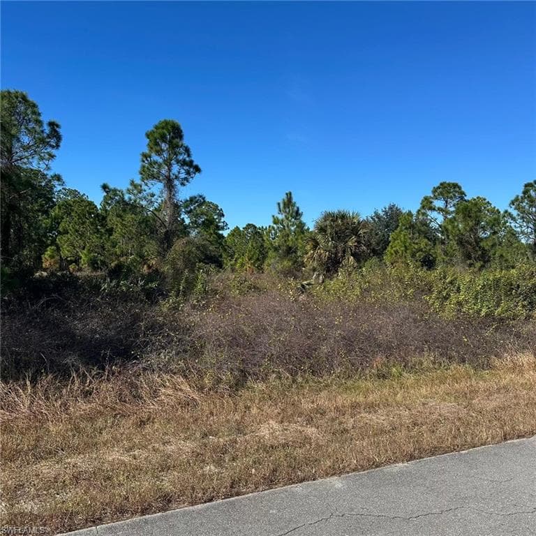 1907 Wells Ave, Lehigh Acres, FL 33972-1