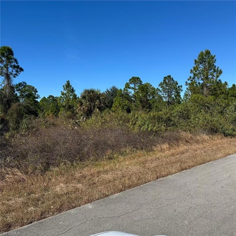 1907 Wells Ave, Lehigh Acres, FL 33972-2