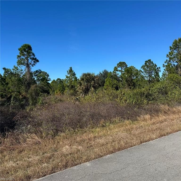 1907 Wells Ave, Lehigh Acres, FL 33972-3