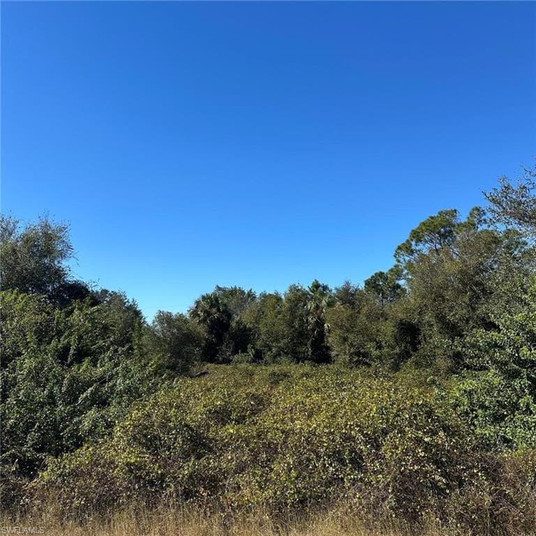 1807 Abbott Ave, Lehigh Acres, FL 33972-2