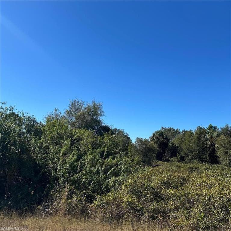 1807 Abbott Ave, Lehigh Acres, FL 33972-3