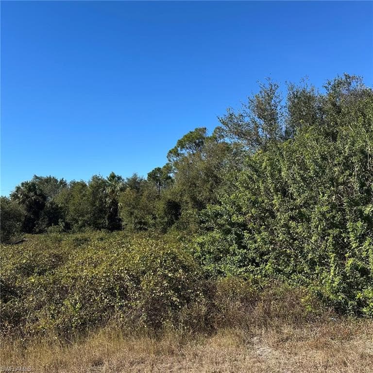 1807 Abbott Ave, Lehigh Acres, FL 33972-4