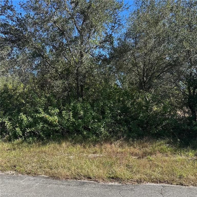 1806 Grant Ave, Lehigh Acres, FL 33972-1