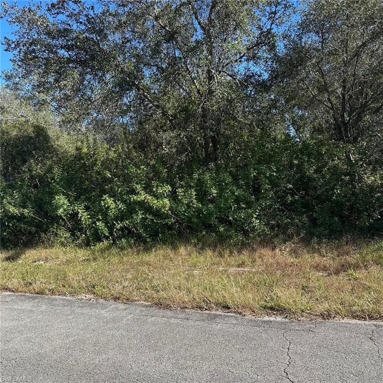 1806 Grant Ave, Lehigh Acres, FL 33972-2