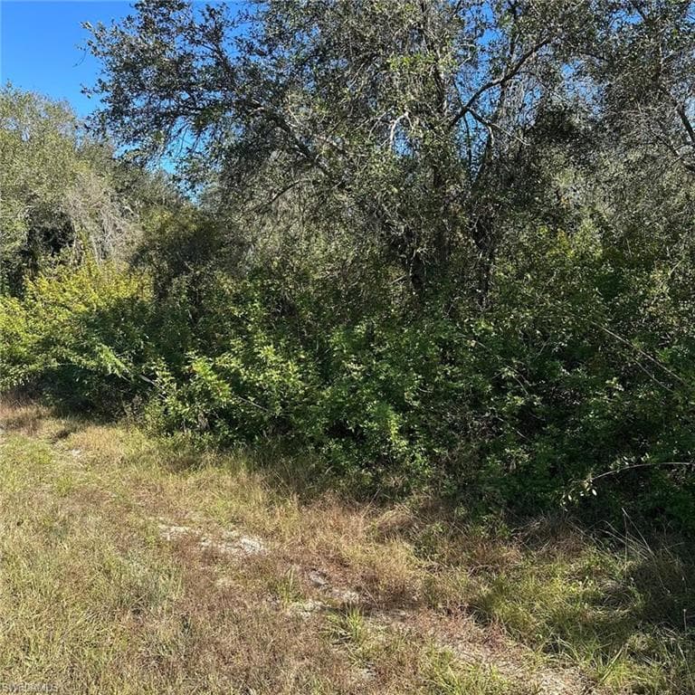 1806 Grant Ave, Lehigh Acres, FL 33972-3