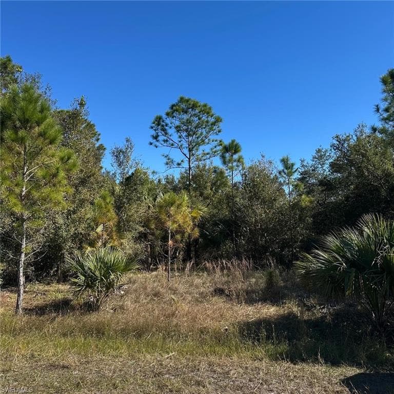 614 Clayton Ave, Lehigh Acres, FL 33972-1
