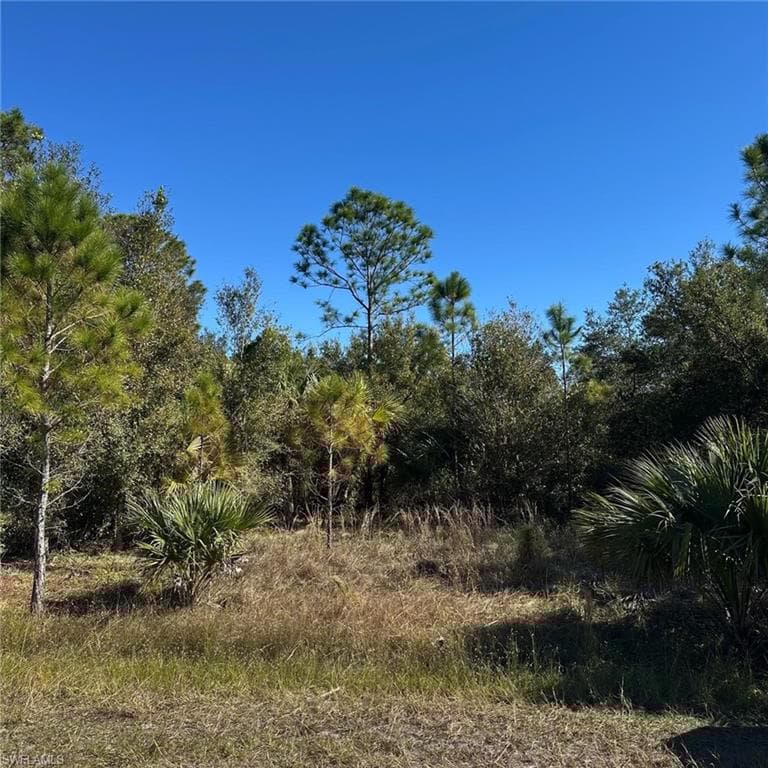 614 Clayton Ave, Lehigh Acres, FL 33972-2