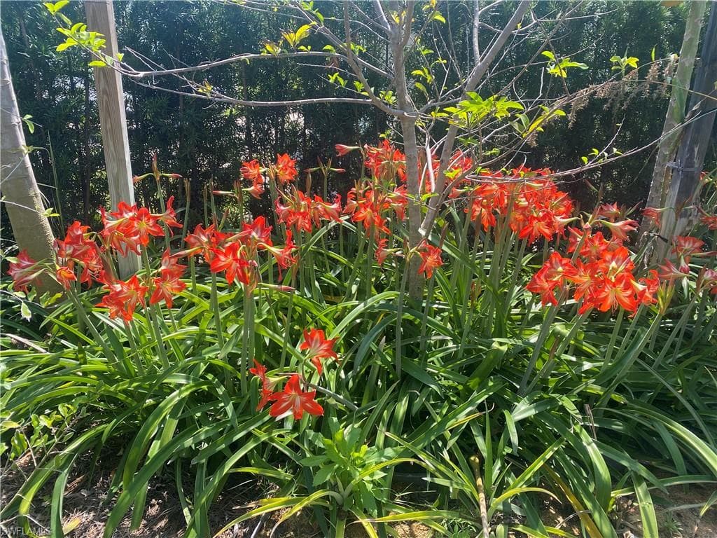 119 Flame Vine Dr, Naples, FL 34110-33