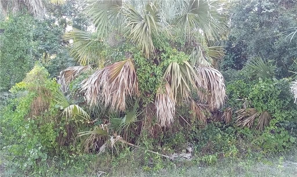 Blueberry Rd, North Port, FL 34288-1