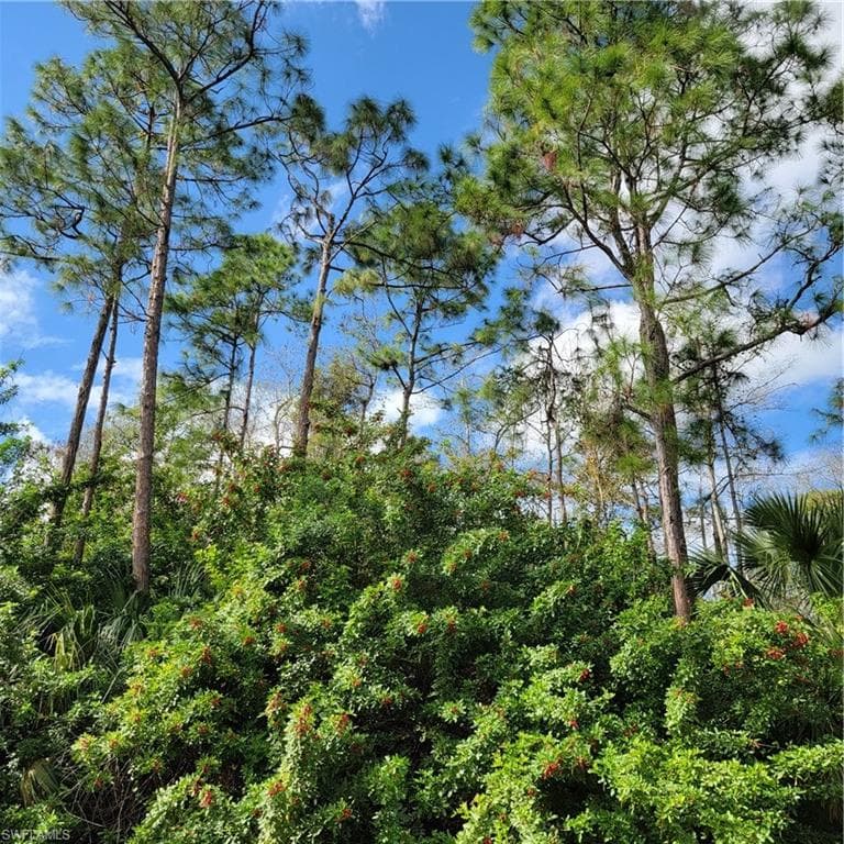 3011 2nd St NE, Naples, FL 34120-17