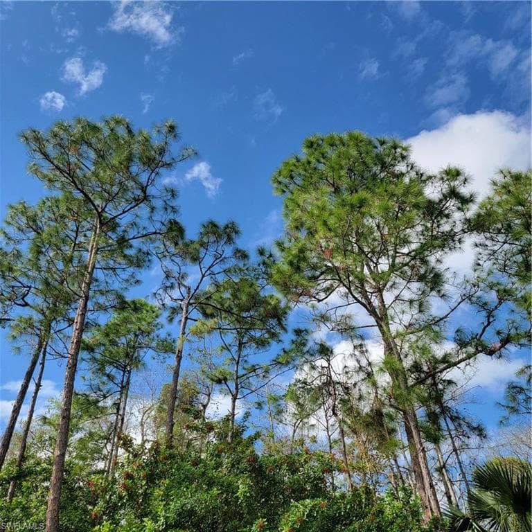 3011 2nd St NE, Naples, FL 34120-3
