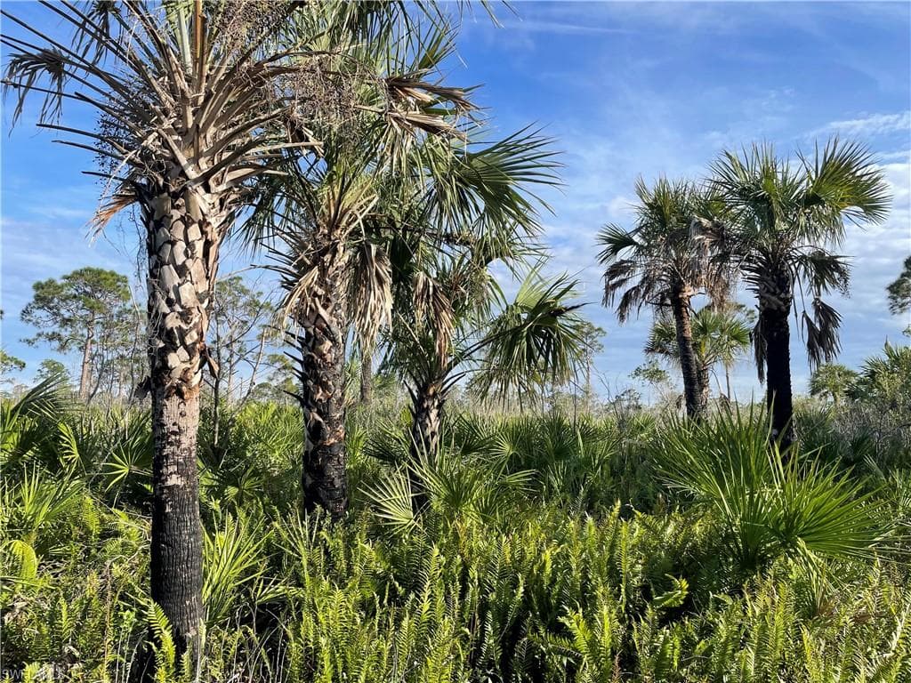 20681 Coconut Dr, Estero, FL 33928-6