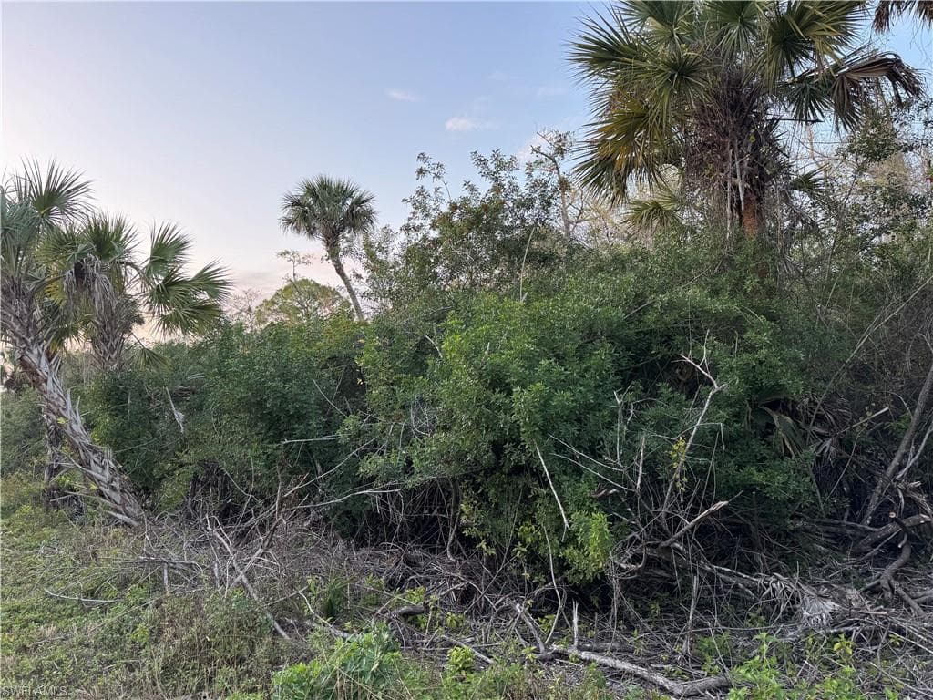 4187 36 Ave SE, Naples, FL 34117-2