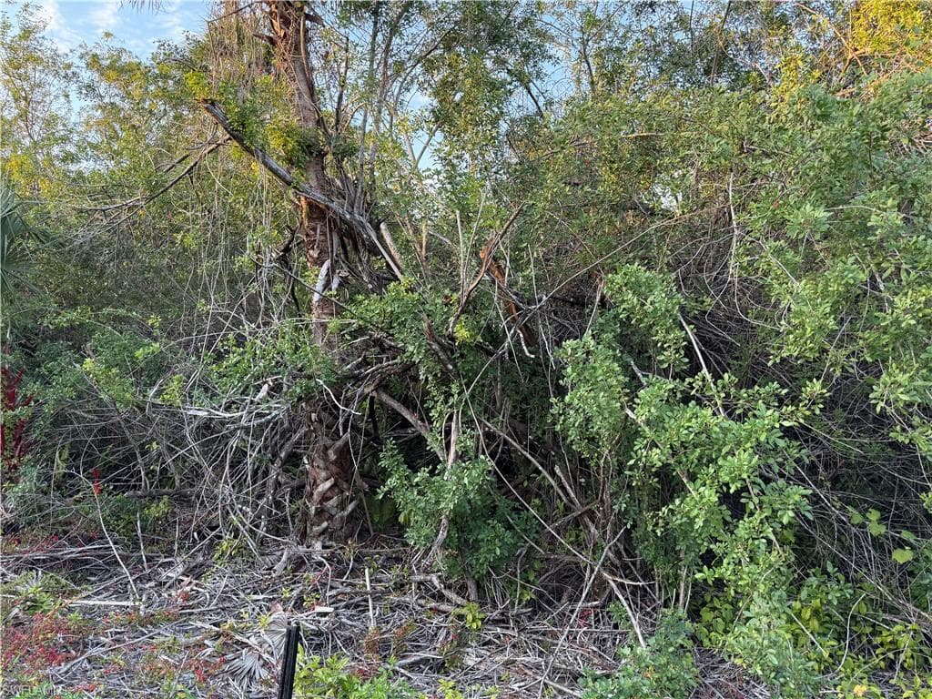 4187 36 Ave SE, Naples, FL 34117-3