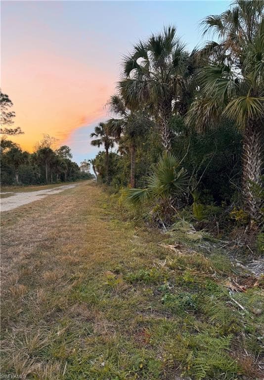 4187 36 Ave SE, Naples, FL 34117-4