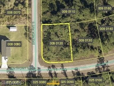 925 Anthony St E, Lehigh Acres, FL 33974-1