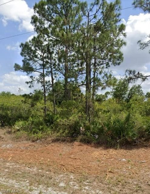 930 Kanuga St E, Lehigh Acres, FL 33974-5