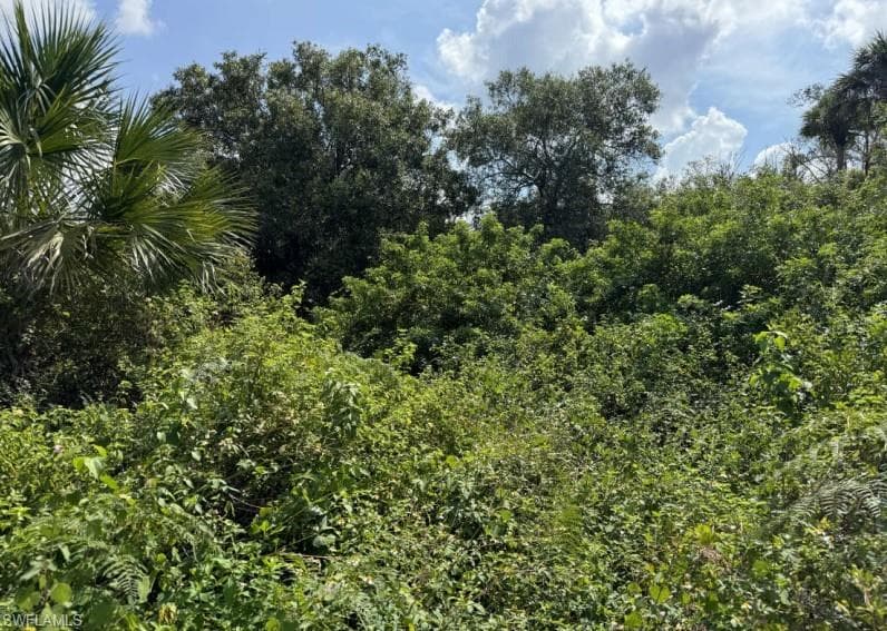 36xx 38th Ave SE, Naples, FL 34117-9