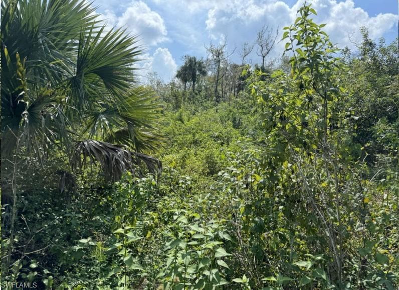 36xx 38th Ave SE, Naples, FL 34117-10