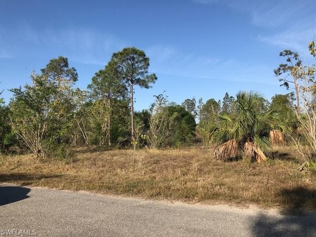 913 Broadway Ave, Lehigh Acres, FL 33972-6