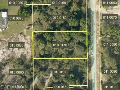 809 Truman Ave, Lehigh Acres, FL 33972-1