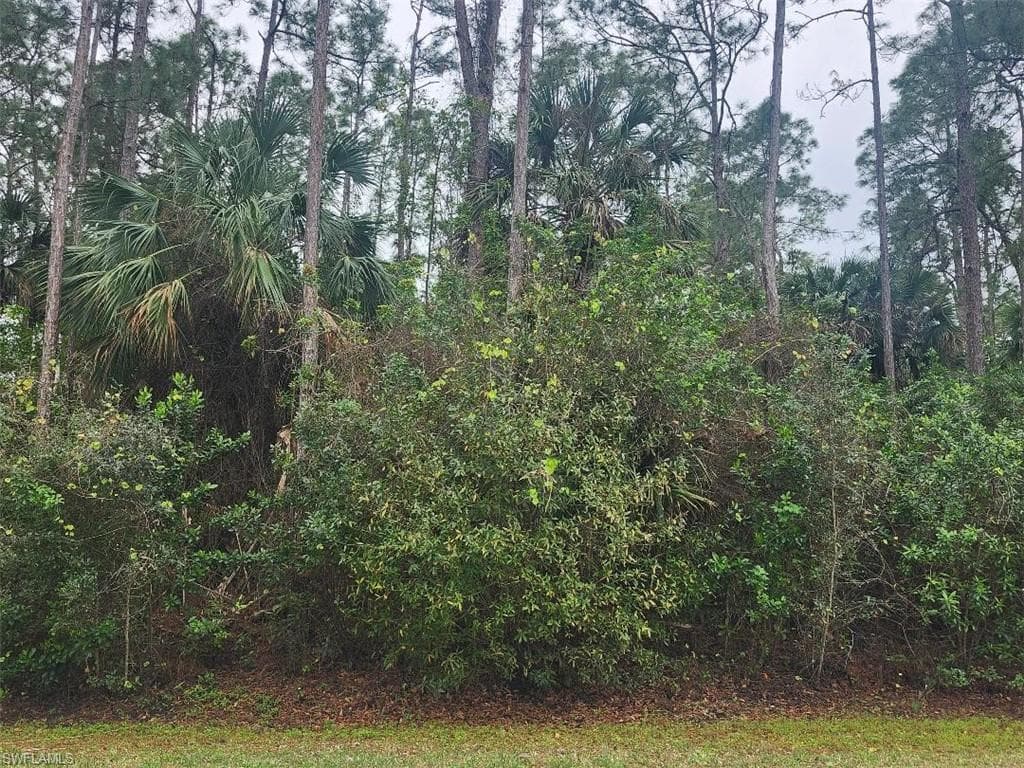 3415 41st Ave NE, Naples, FL 34120-2