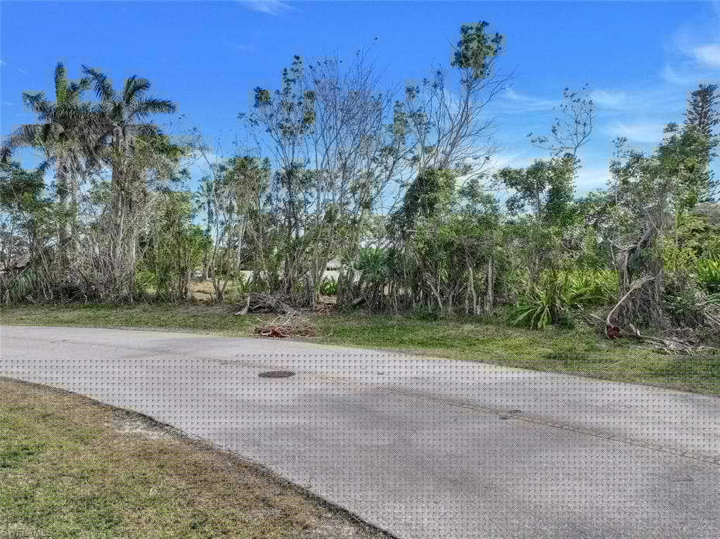 441 Elk Cir, Marco Island, FL 34145-17