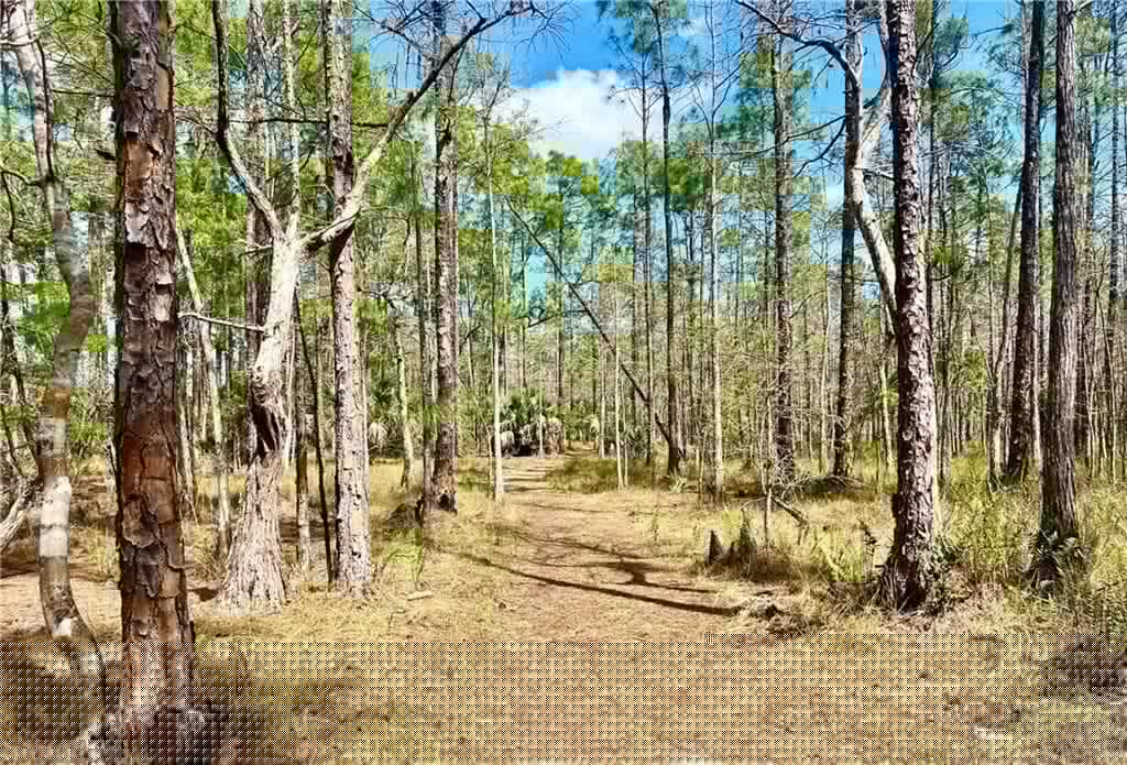 8370 Heritage Links Ct 2015, Naples, FL 34112-38