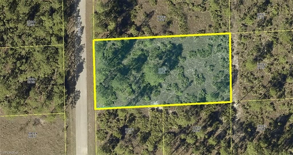 1702 Euclid Ave, Lehigh Acres, FL 33972-1