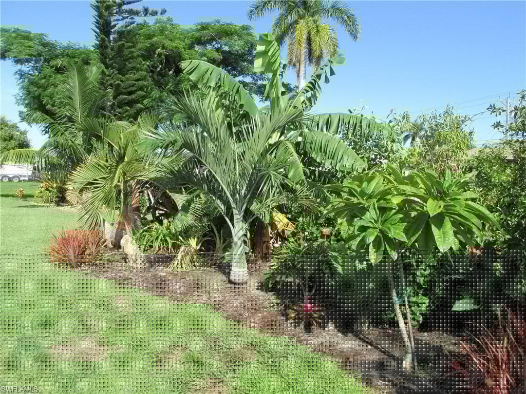 817 52nd St, Cape Coral, FL 33914-29