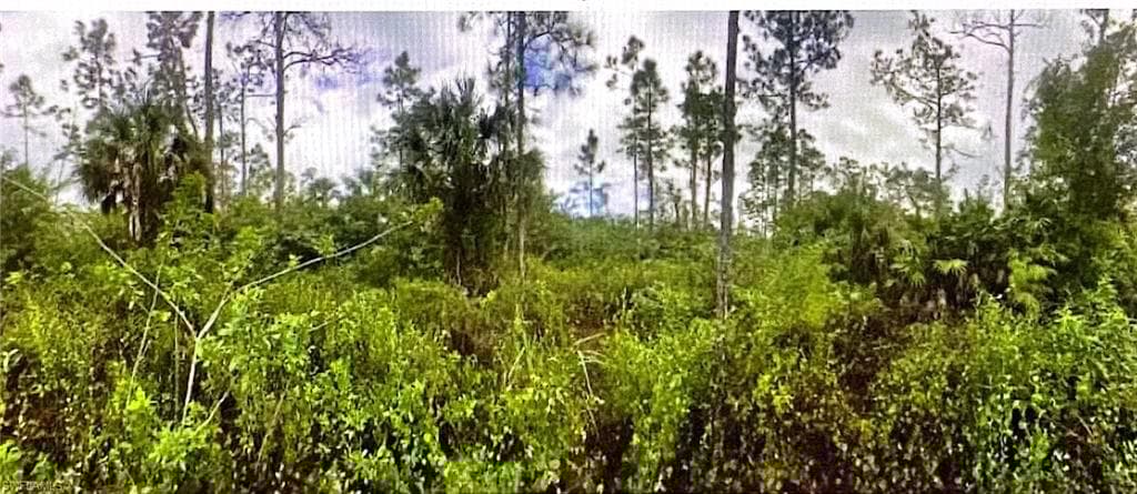 3774 2nd Ave NE, Naples, FL 34120-2