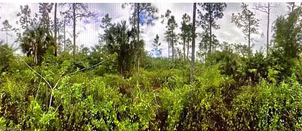 3774 2nd Ave NE, Naples, FL 34120-2